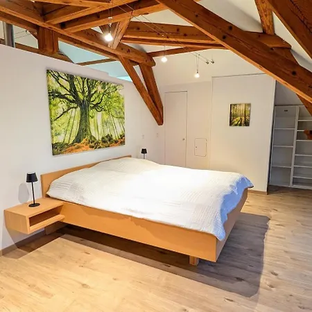 Loft In Apartment Weiler