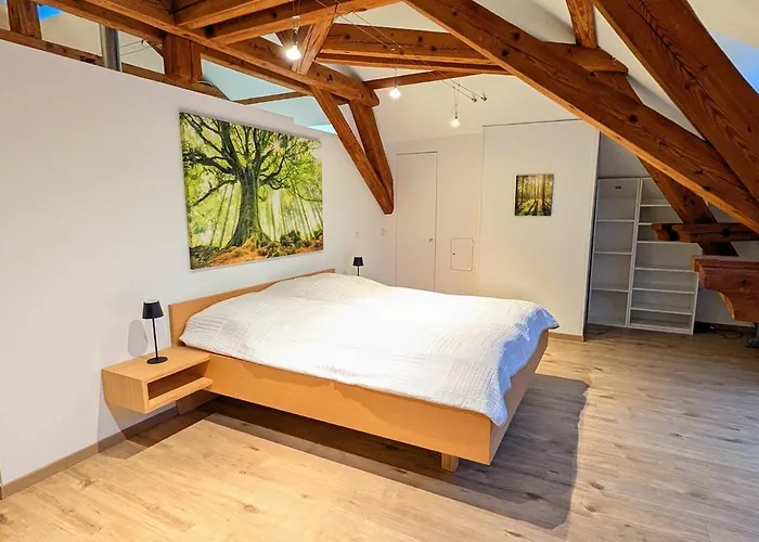 Loft In Apartment Weiler